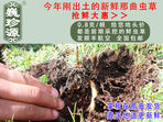 rxĲ շb 0.8/r(ji)80Ԫ/