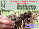 rxĲ շb 1/r(ji)100Ԫ/